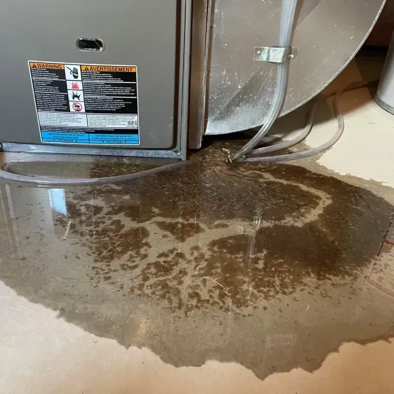 Appliance Leak Cleanup in Brea, CA